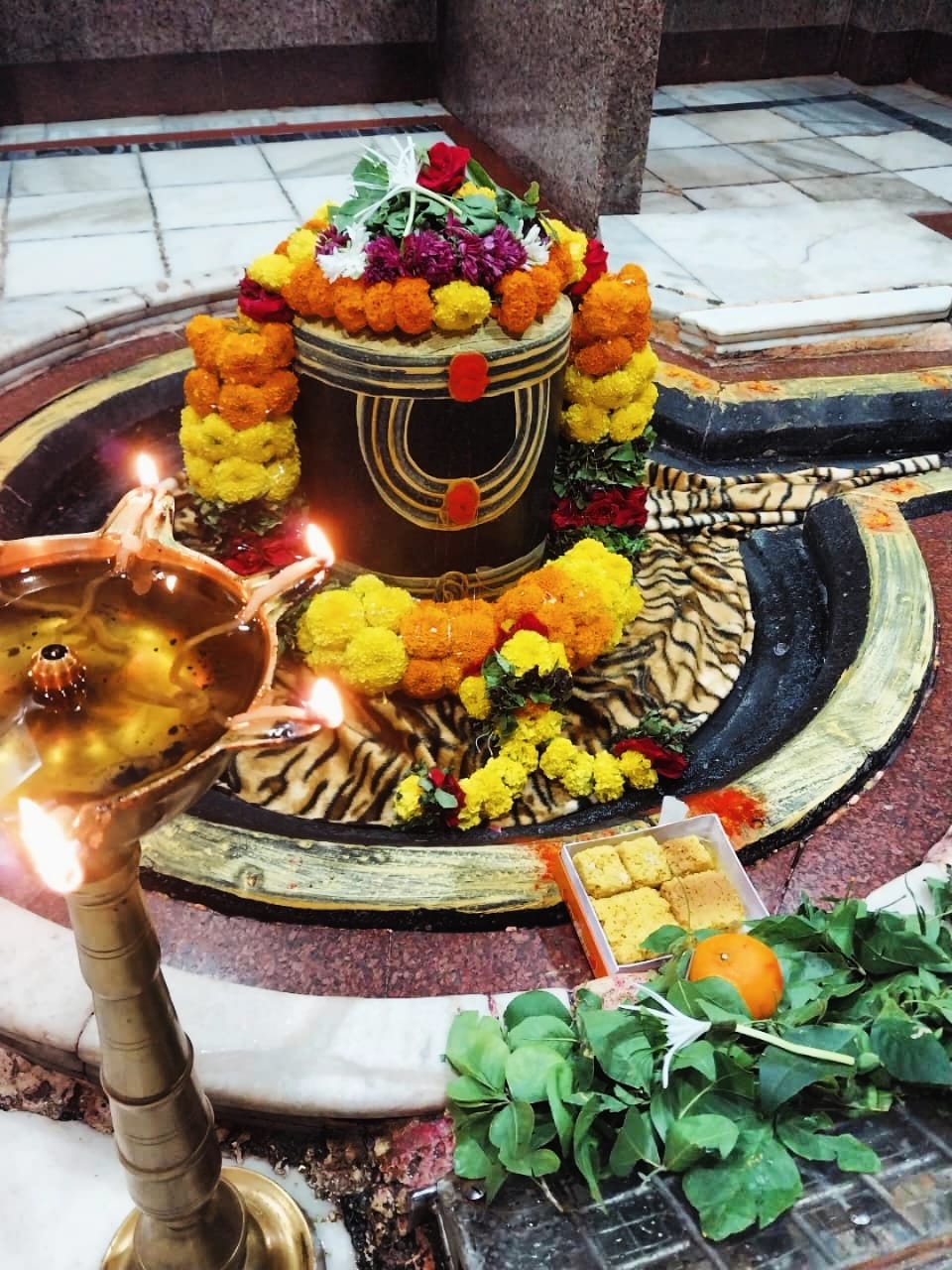 परली वैजनाथ जी के दर्शन