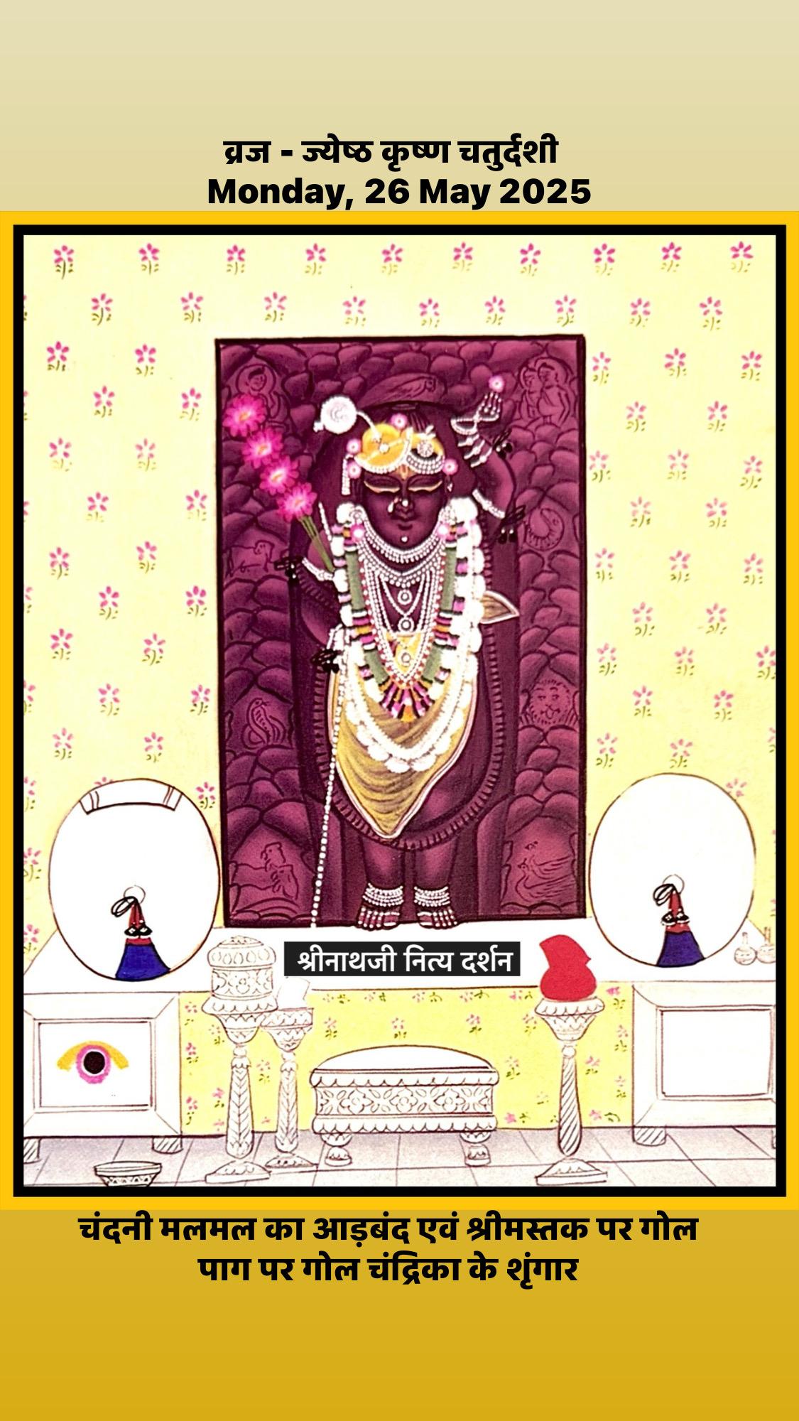 श्रीनाथजी दर्शन