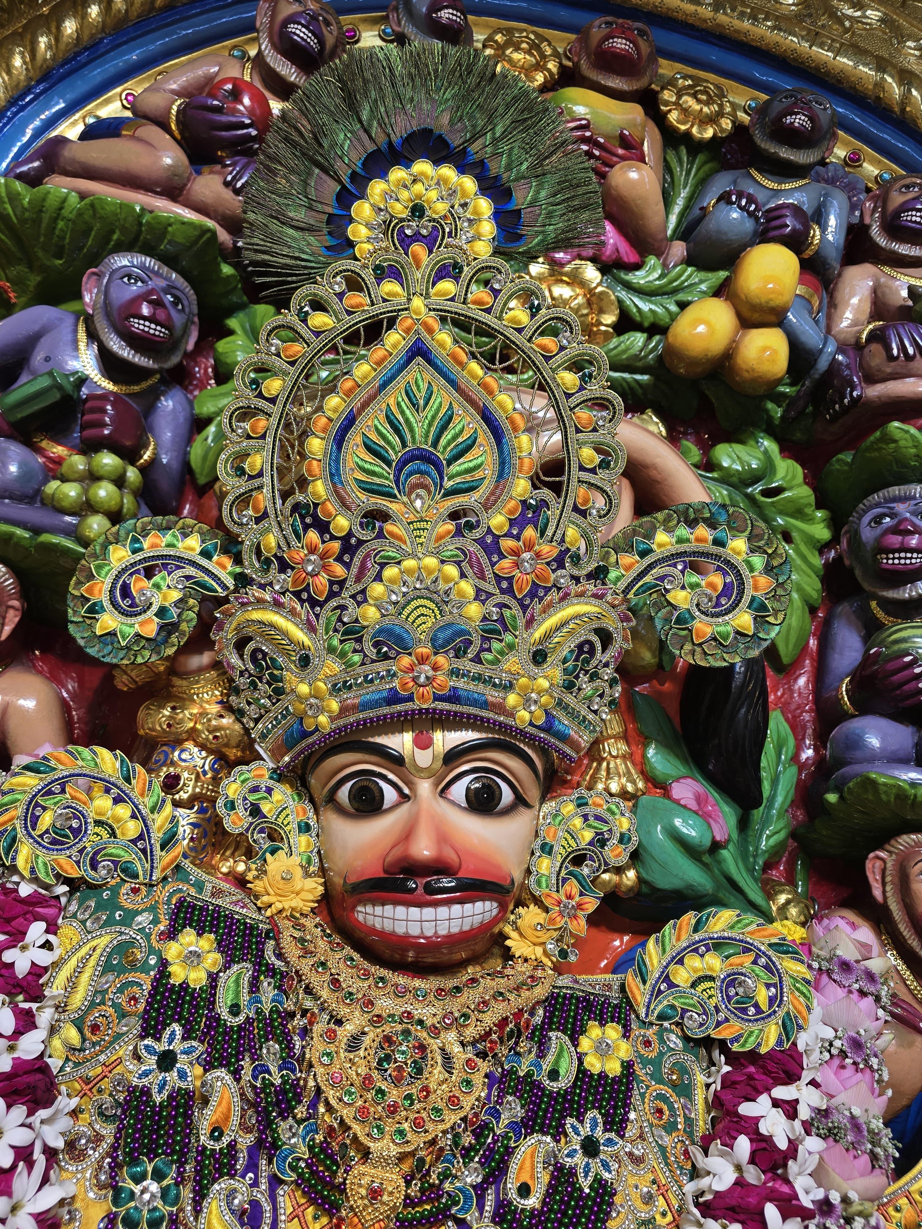 सालंगपुर हनुमानजी के दर्शन
