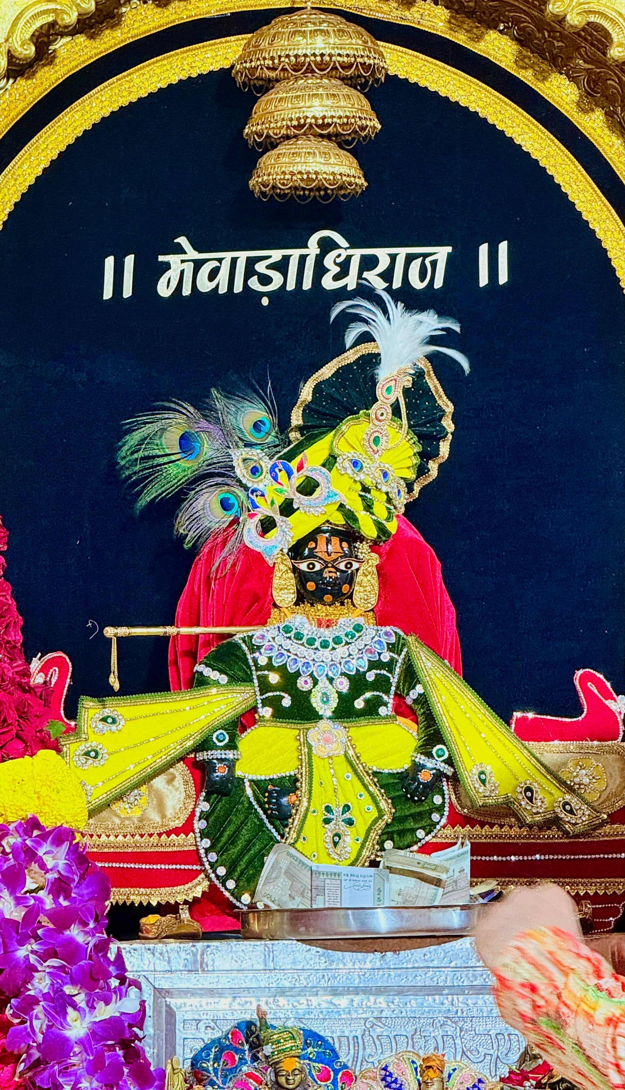साँवरिया सेठ जी के दर्शन
