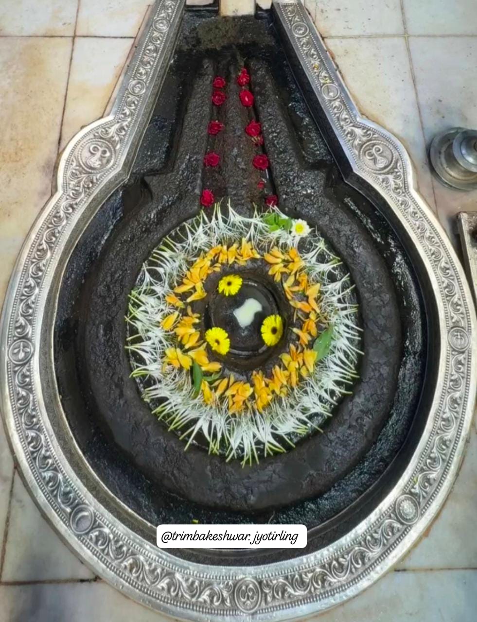 त्र्यंबकेश्वर महादेव के दर्शन