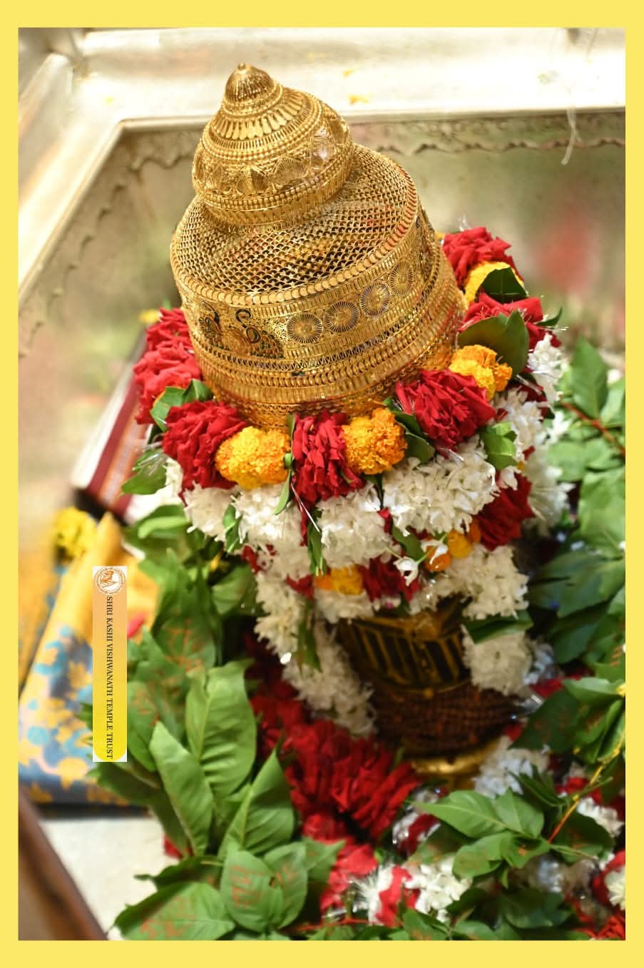 काशी विश्वनाथ के दर्शन