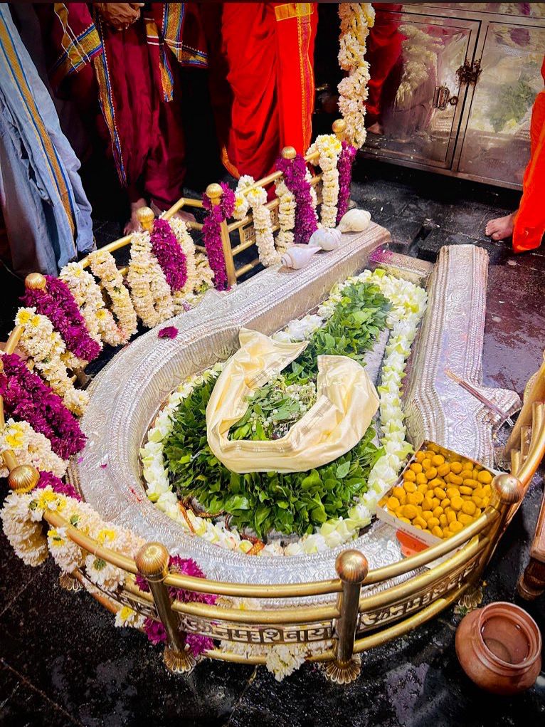 भीमाशंकर ज्योतिर्लिंग के दर्शन