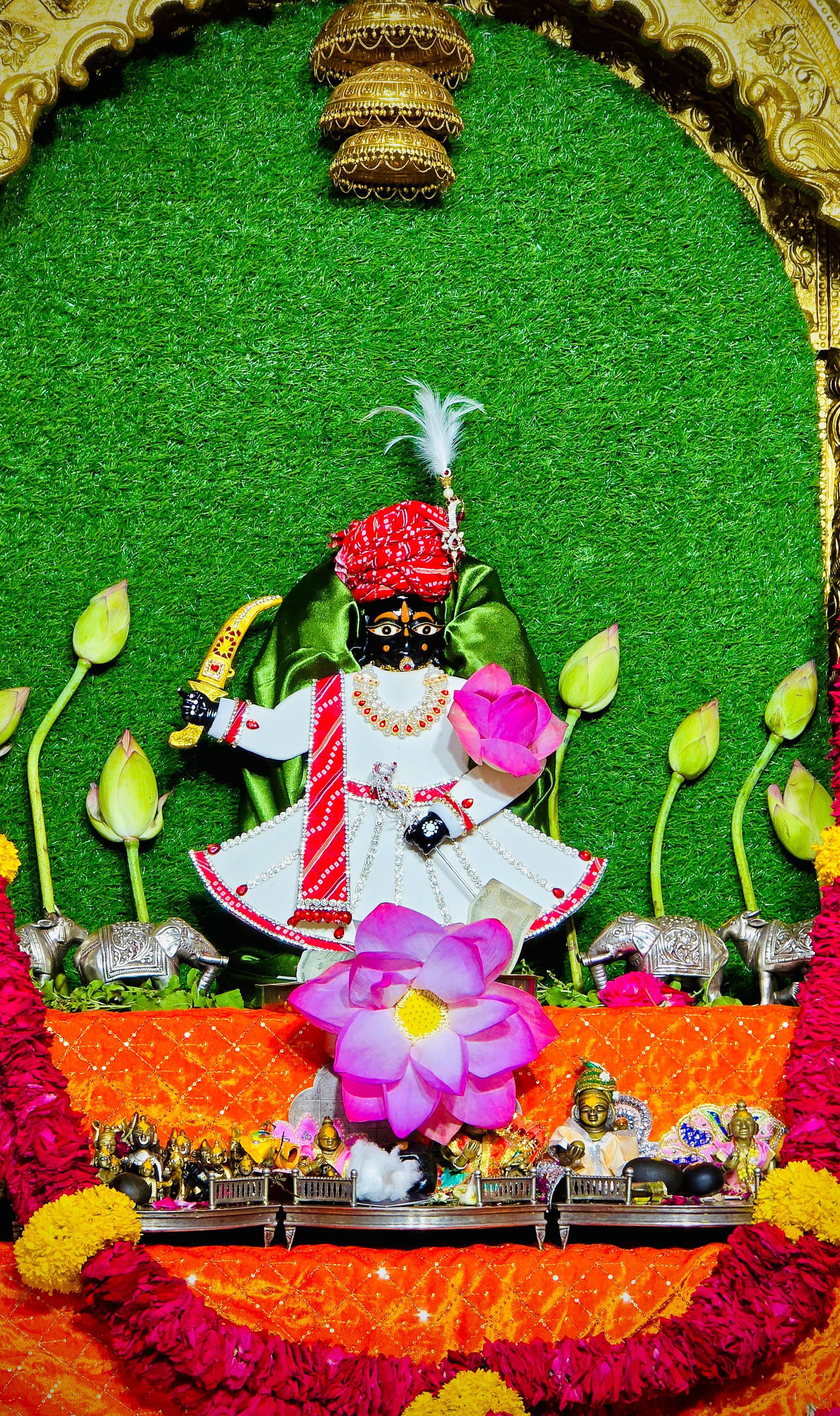 आज के मनमोहक दर्शन