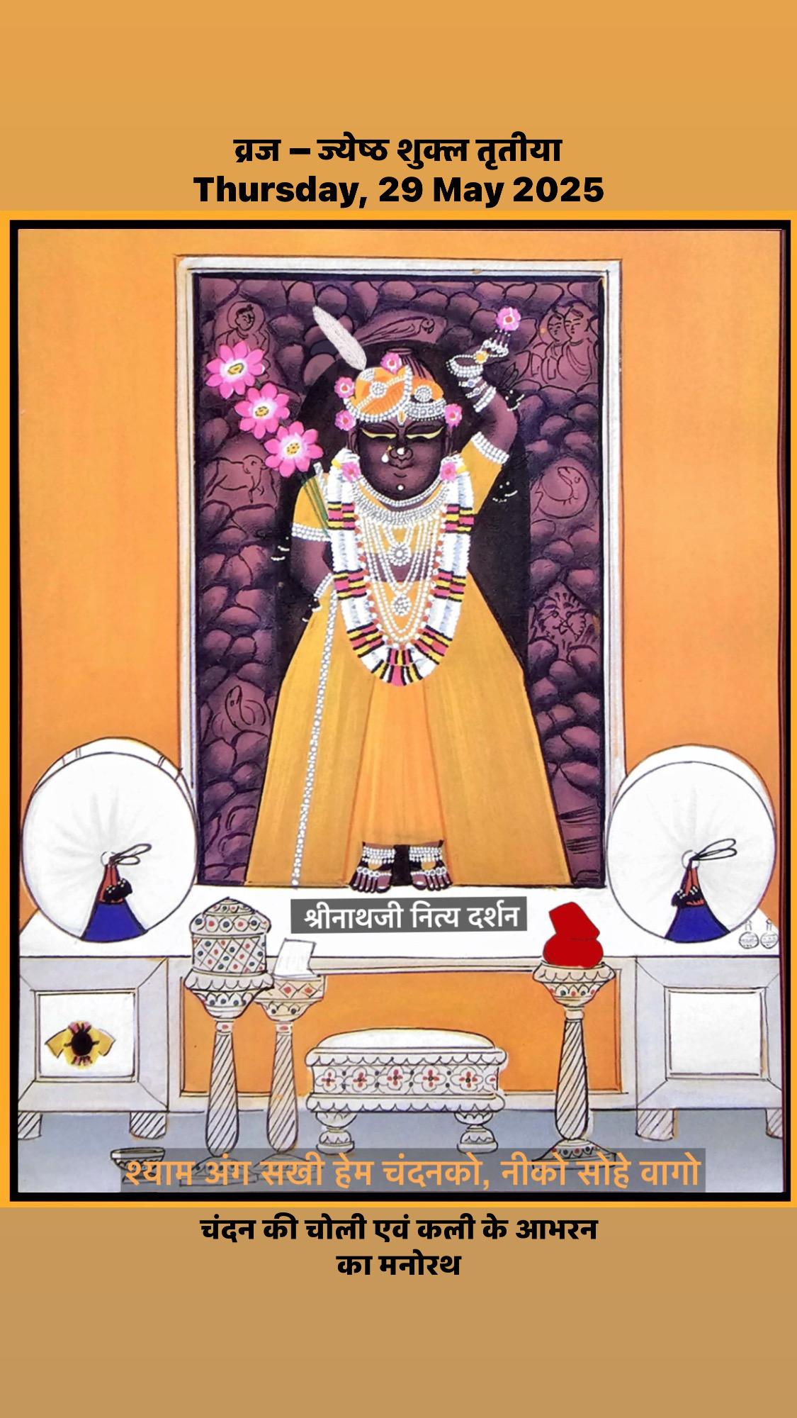 श्रीनाथी जी दर्शन
