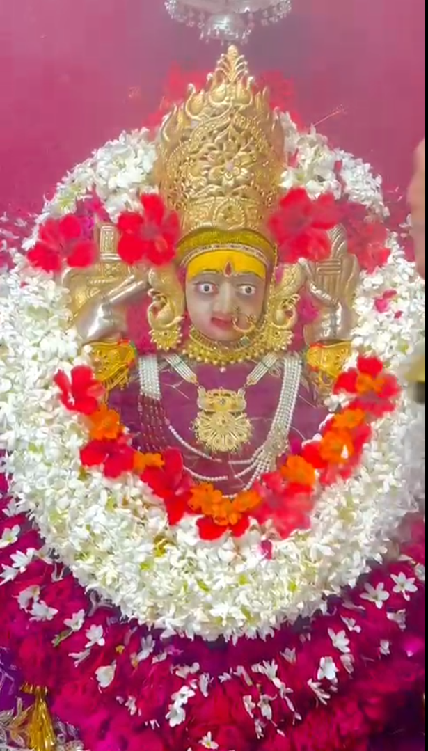 माता के दर्शन