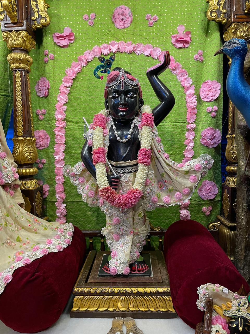 गोपीनाथ जी के दर्शन