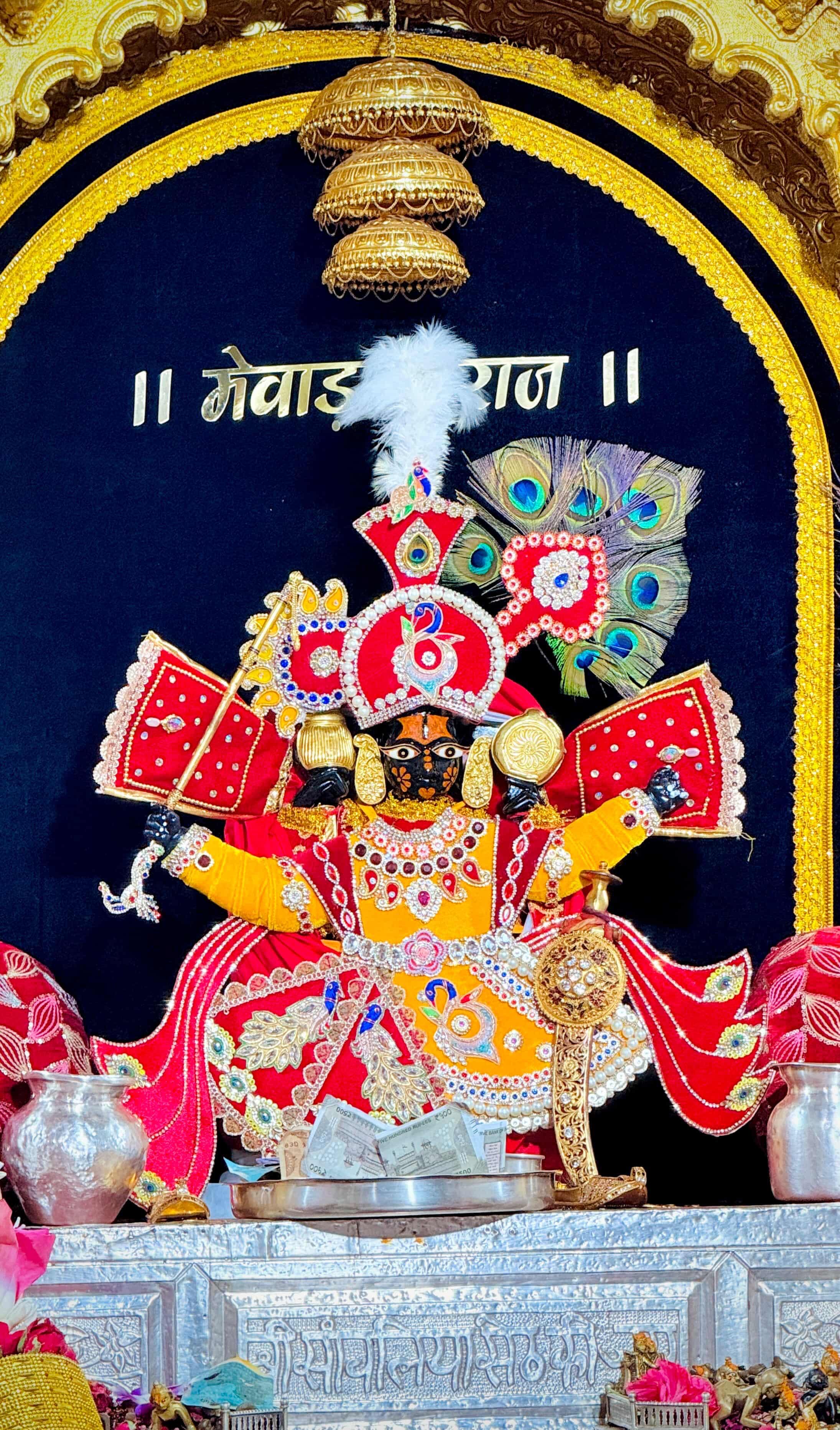 साँवरिया सेठ जी के दर्शन
