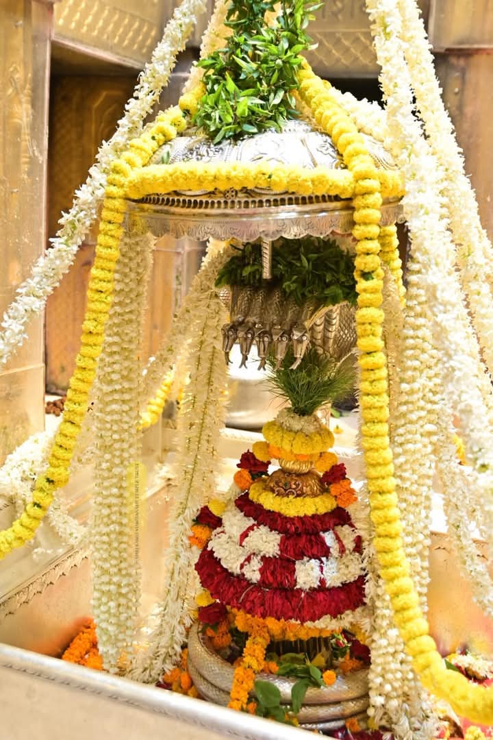श्री काशीविश्वनाथ ज्योतिर्लिंग नित्य श्रृंगार दर्शन