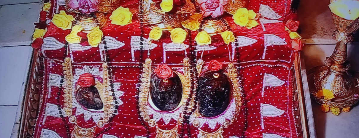 कटरा माँ वैष्णो देवी पावन दर्शन
