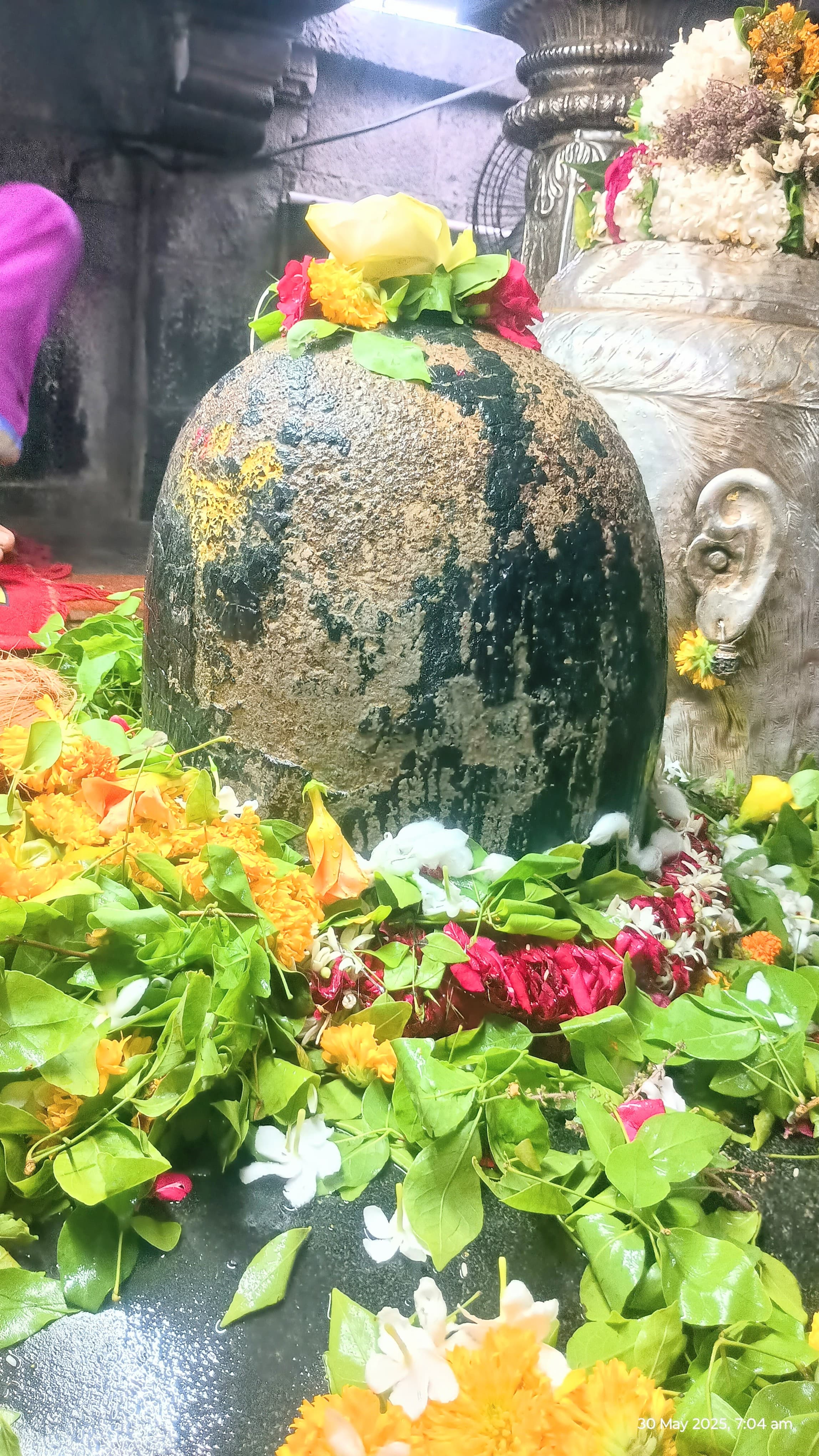 श्री नागेश्वर ज्योतिर्लिंग प्रातः दर्शनम्