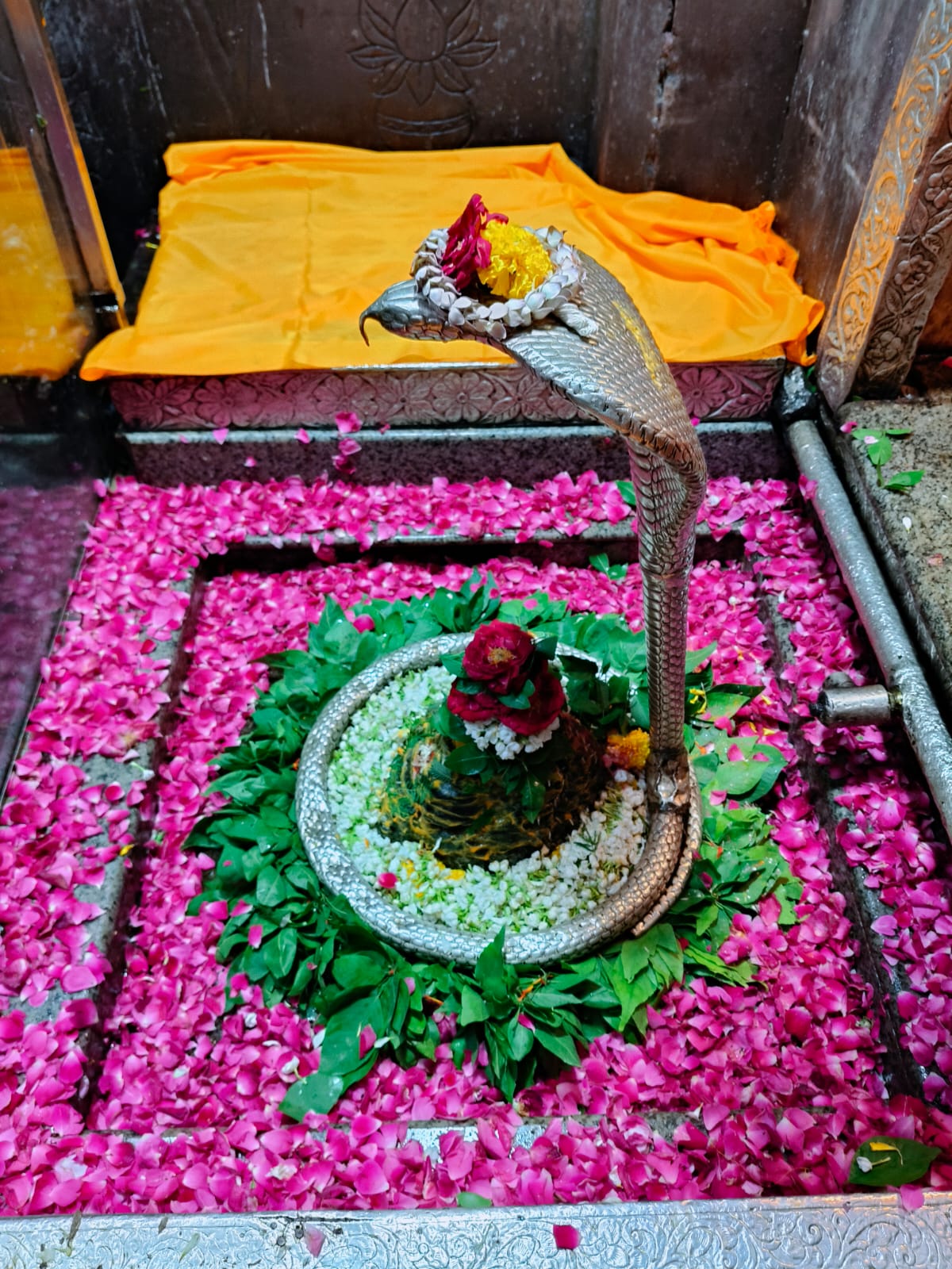 ओंकारेश्वर ज्योतिर्लिंग के दर्शन